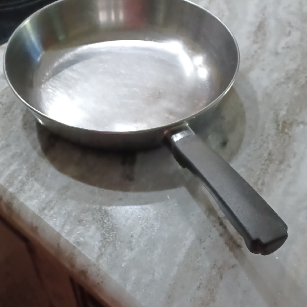 Stainless Steel Frying Pan with Black Handle 9.5"